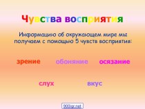 Органы чувств