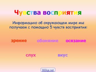 Органы чувств