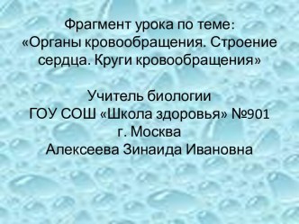 Органы кровообращения. Строение сердца. Круги кровообращения