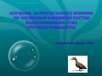 ИЗУЧЕНИЕ АНТРОПОГЕННОГО ВЛИЯНИЯ НА ЧИСЛЕННЫЙ И ВИДОВОЙ СОСТАВ ВОДОПЛАВАЮЩИХ ПТИЦ УРОЧИЩА КАМЫШКУЛЬ