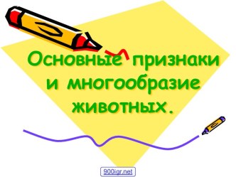 Многообразие животных