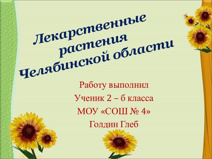 Лекарственные растения Челябинской областиРаботу выполнилУченик 2 – б классаМОУ «СОШ № 4»Голдин Глеб