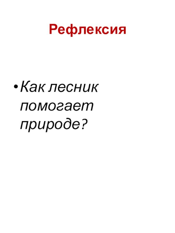 РефлексияКак лесник помогает природе?