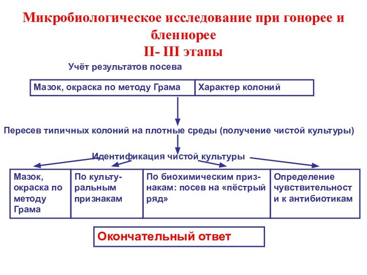 Микробиологическое исследование при гонорее и бленнорее II- III этапыУчёт результатов посеваПересев типичных