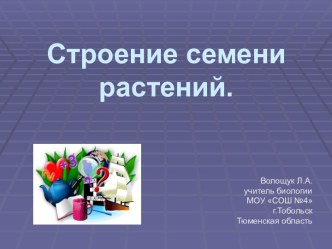 Строение семени