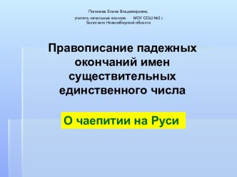 Правописание падежных окончаний имен существительных единственного числа