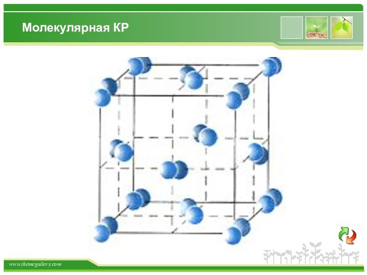 Молекулярная КР