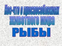 Кое-что о приспособлениях животного мира