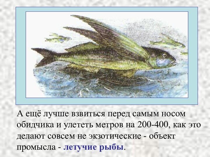 А ещё лучше взвиться перед самым носом обидчика и улететь метров на