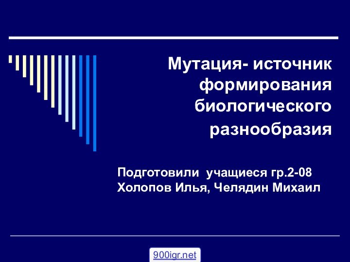 Мутация- источник формирования биологического разнообразия Подготовили учащиеся гр.2-08 Холопов Илья, Челядин Михаил