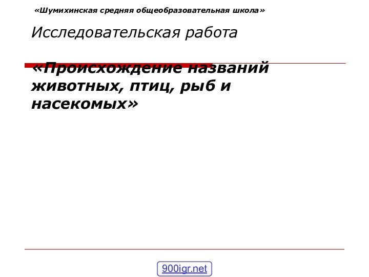 «Шумихинская средняя общеобразовательная школа»  Исследовательская работа