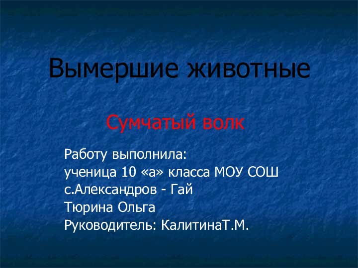 Вымершие животныеСумчатый волкРаботу выполнила: ученица 10 «а» класса МОУ СОШс.Александров - ГайТюрина ОльгаРуководитель: КалитинаТ.М.