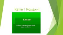 Квіти і комахи