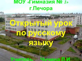 Роль имен существительных в предложении. Многозначные слова, синонимы, антонимы