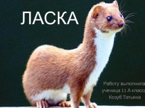 Ласка