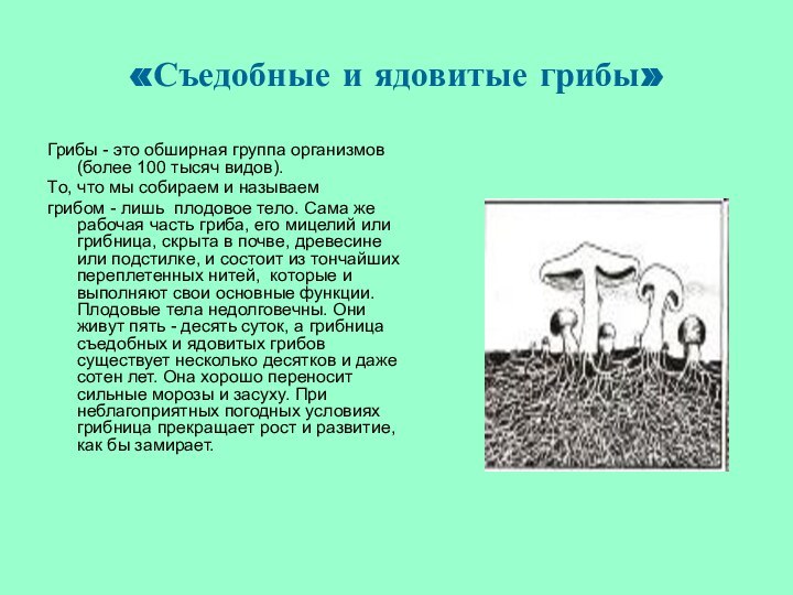 «Съедобные и ядовитые грибы»Грибы - это обширная группа организмов (более 100 тысяч