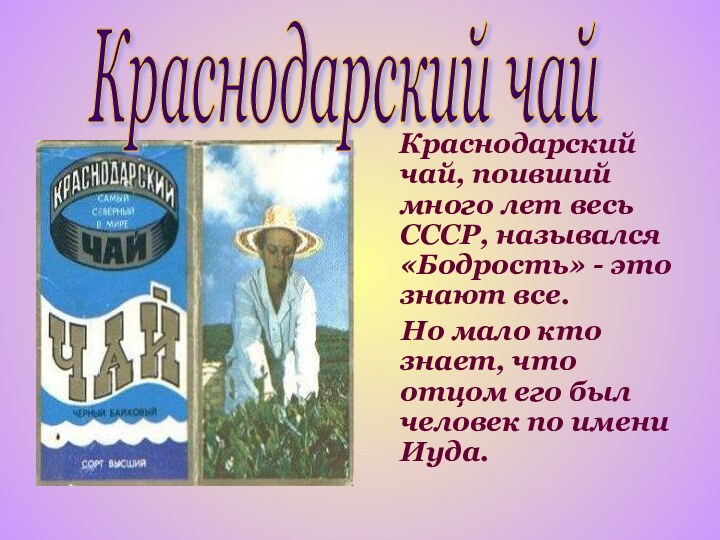 Краснодарский чай, поивший много лет весь СССР, назывался «Бодрость» -