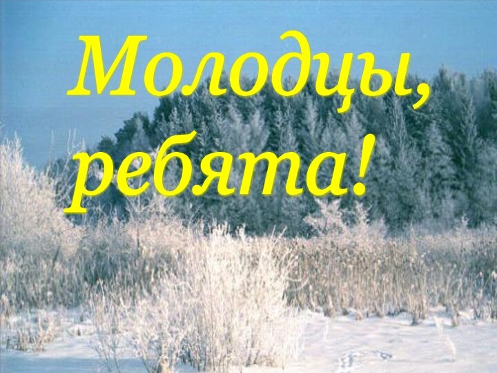 Молодцы,  ребята!