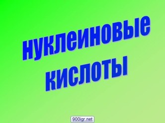 нуклеиновые кислоты