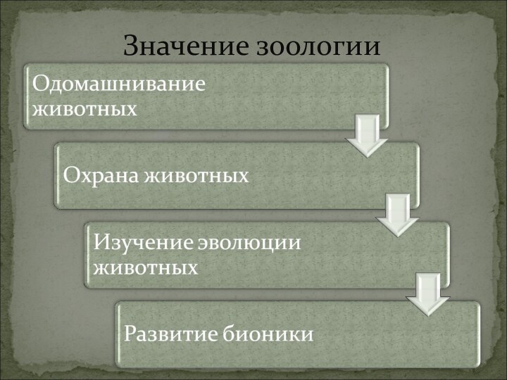 Значение зоологии