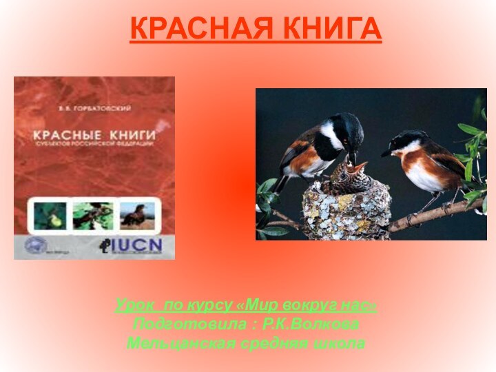 Урок  по курсу «Мир вокруг нас»Подготовила : Р.К.ВолковаМельцанская средняя школаКРАСНАЯ КНИГА