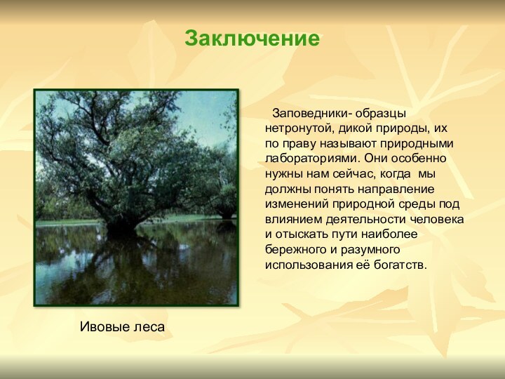 Заключение Заповедники- образцы нетронутой, дикой природы, их по праву называют природными лабораториями.