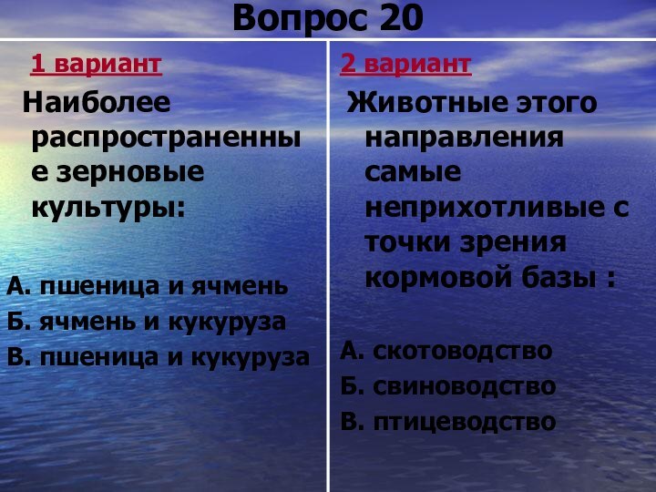 Вопрос 20  1 вариант Наиболее распространенные зерновые культуры:А. пшеница и ячменьБ.