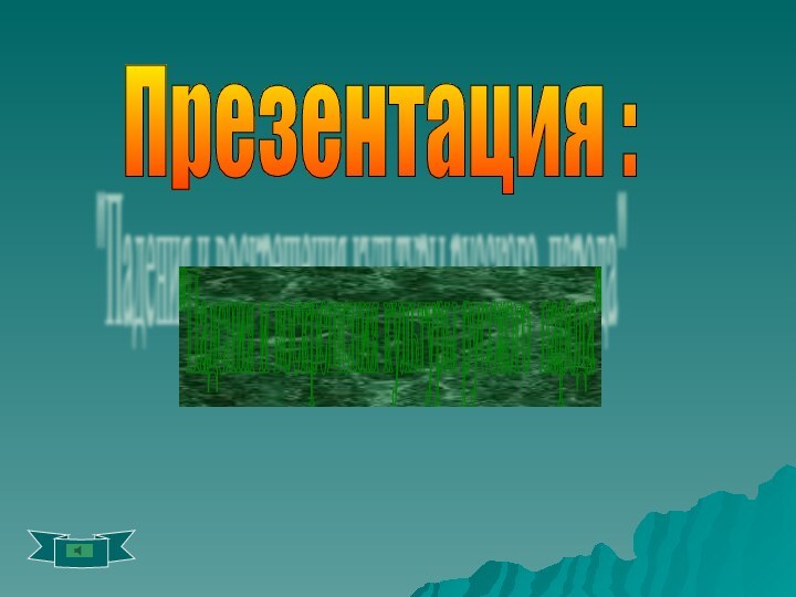 Презентация : 