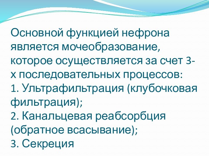 Основной функцией нефрона является мочеобразование, которое осуществляется за счет 3-х последовательных процессов: