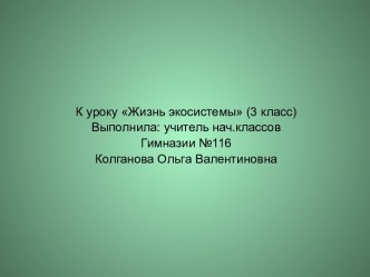 Жизнь экосистемы (3 класс)