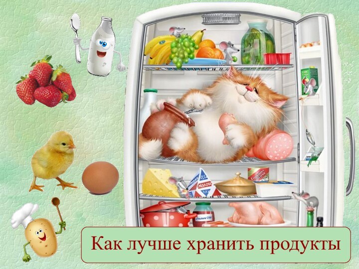 Как лучше хранить продукты