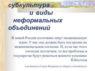 Молодежная субкультура и виды неформальных объединений