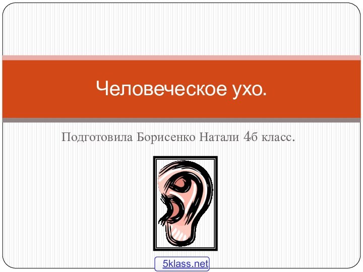 Подготовила Борисенко Натали 4б класс.Человеческое ухо.