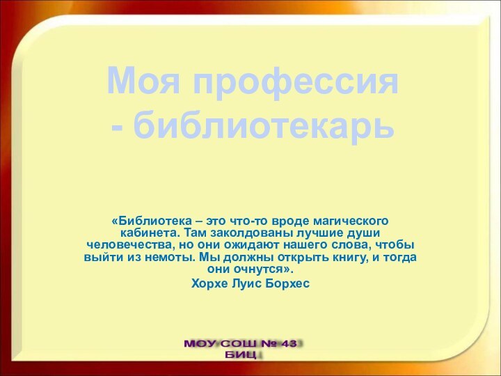 «Библиотека – это что-то вроде магического кабинета. Там заколдованы лучшие души человечества,