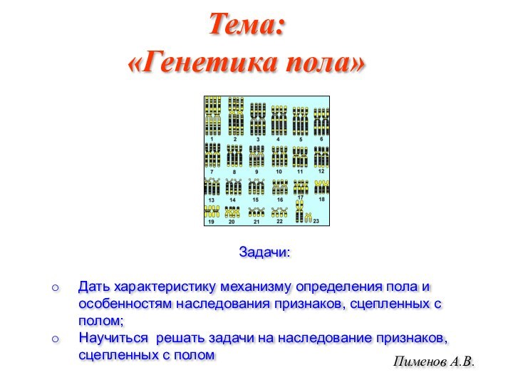 Тема: «Генетика пола»Пименов А.В.Задачи:Дать характеристику механизму определения пола и особенностям наследования признаков,