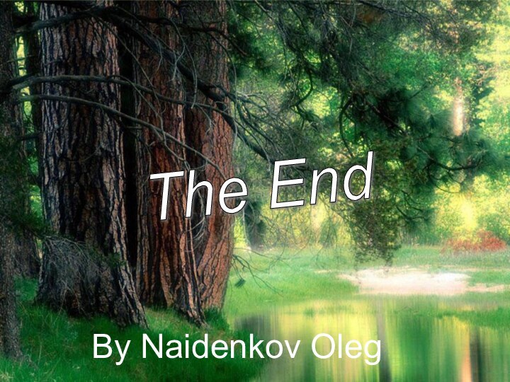 The End By Naidenkov Oleg