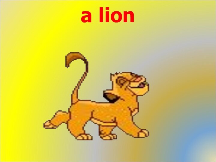 a lion