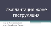 Имплантация және Гаструляция