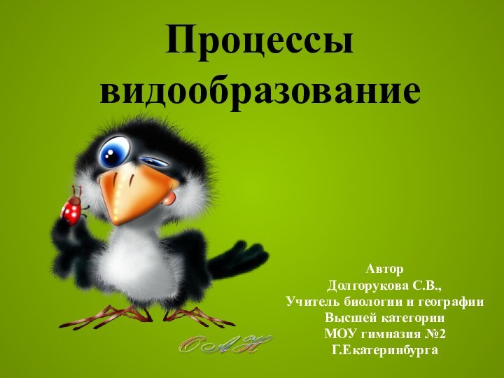 Процессы видообразованиеАвторДолгорукова С.В.,Учитель биологии и географииВысшей категорииМОУ гимназия №2Г.Екатеринбурга