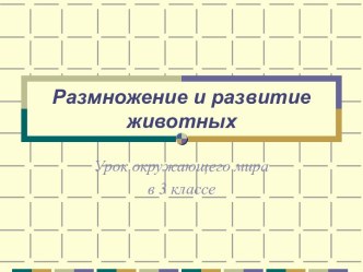 Размножение и развитие животных