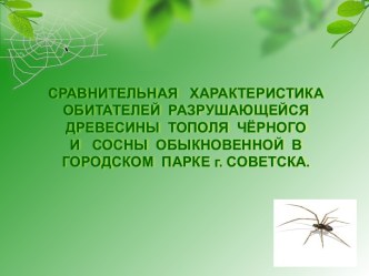 Сравнительная характеристика обитателейй разрушающейся древесины тополя чёрного и сосны обыкновенной в городском парке г. Совестка