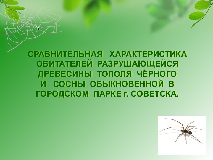 СРАВНИТЕЛЬНАЯ  ХАРАКТЕРИСТИКА ОБИТАТЕЛЕЙ РАЗРУШАЮЩЕЙСЯ ДРЕВЕСИНЫ ТОПОЛЯ ЧЁРНОГО