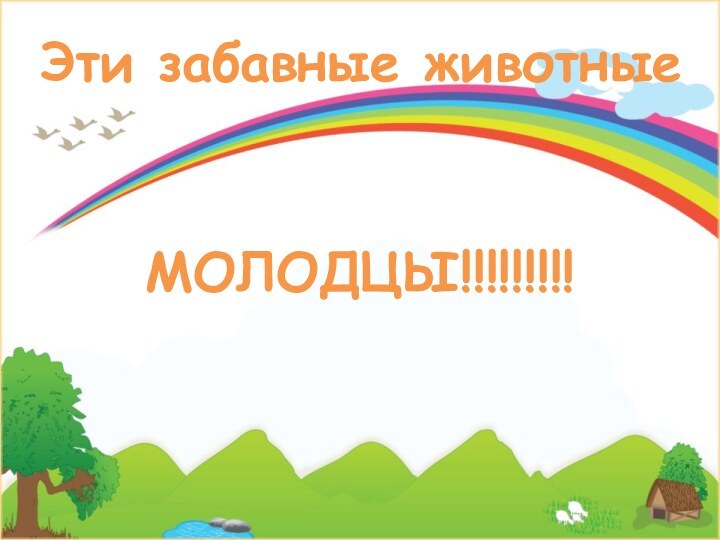 МОЛОДЦЫ!!!!!!!!!Эти забавные животные