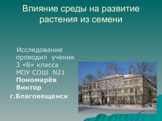 Влияние среды на развитие растения из семени