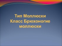 Тип Моллюски Класс Брюхоногие моллюски