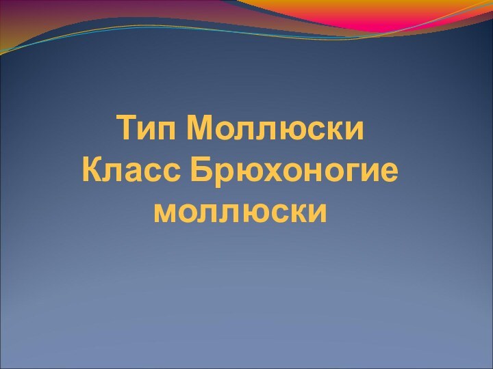 Тип Моллюски Класс Брюхоногие моллюски