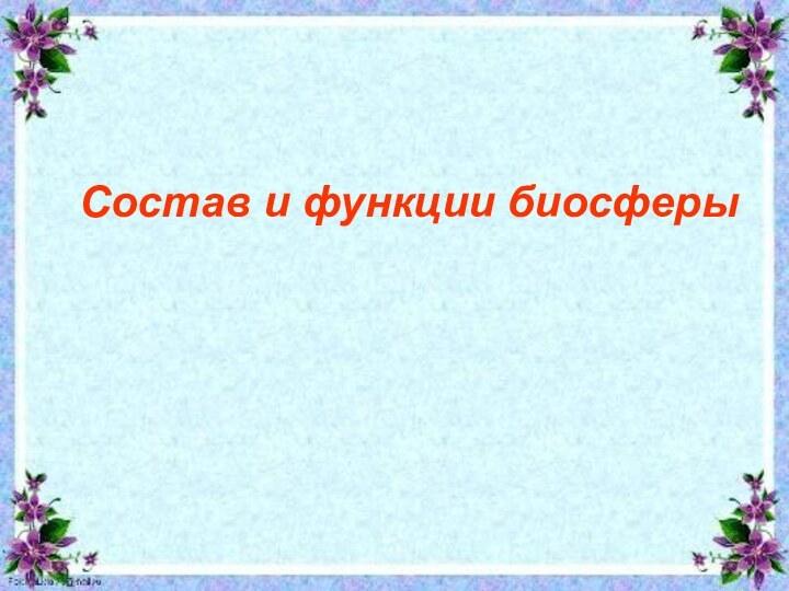 Состав и функции биосферыСостав и функции биосферы