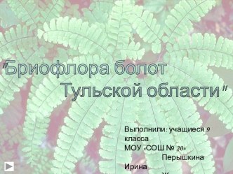 Бриофлора болот Тульской области