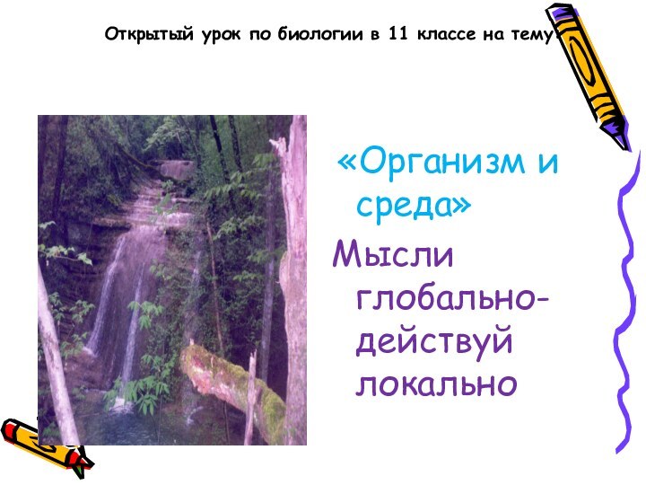 Открытый урок по биологии в 11 классе на тему:  «Организм и среда»Мысли глобально- действуй локально