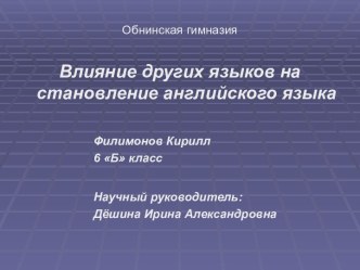 Влияние других языков на становление английского языка